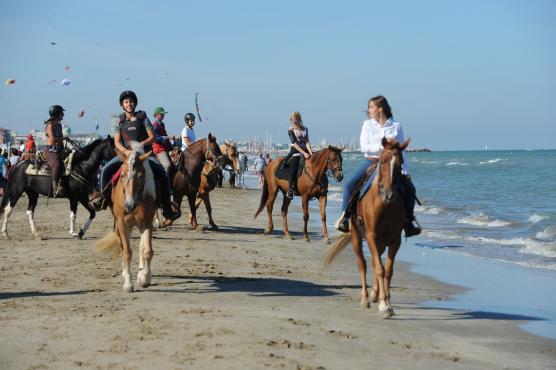 9-10 April - equestrian event - A horse and Sea. Spring