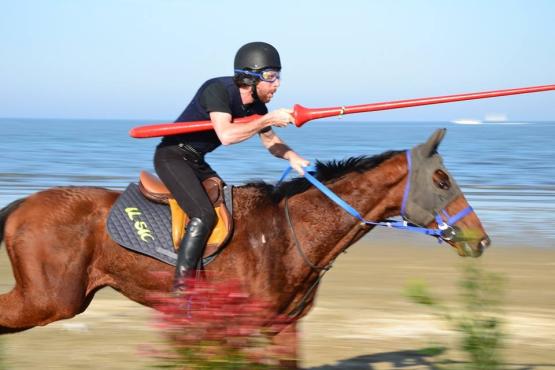 9-10 April 2016 - Pferdesport-Event - Ein Pferd und Meer. Feder