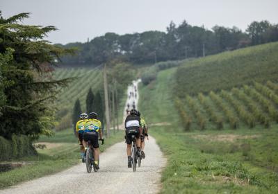 Ciclisti pedalano tra colline verdi, immersi nella natura.